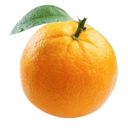 Orange Democratic Movement logo
